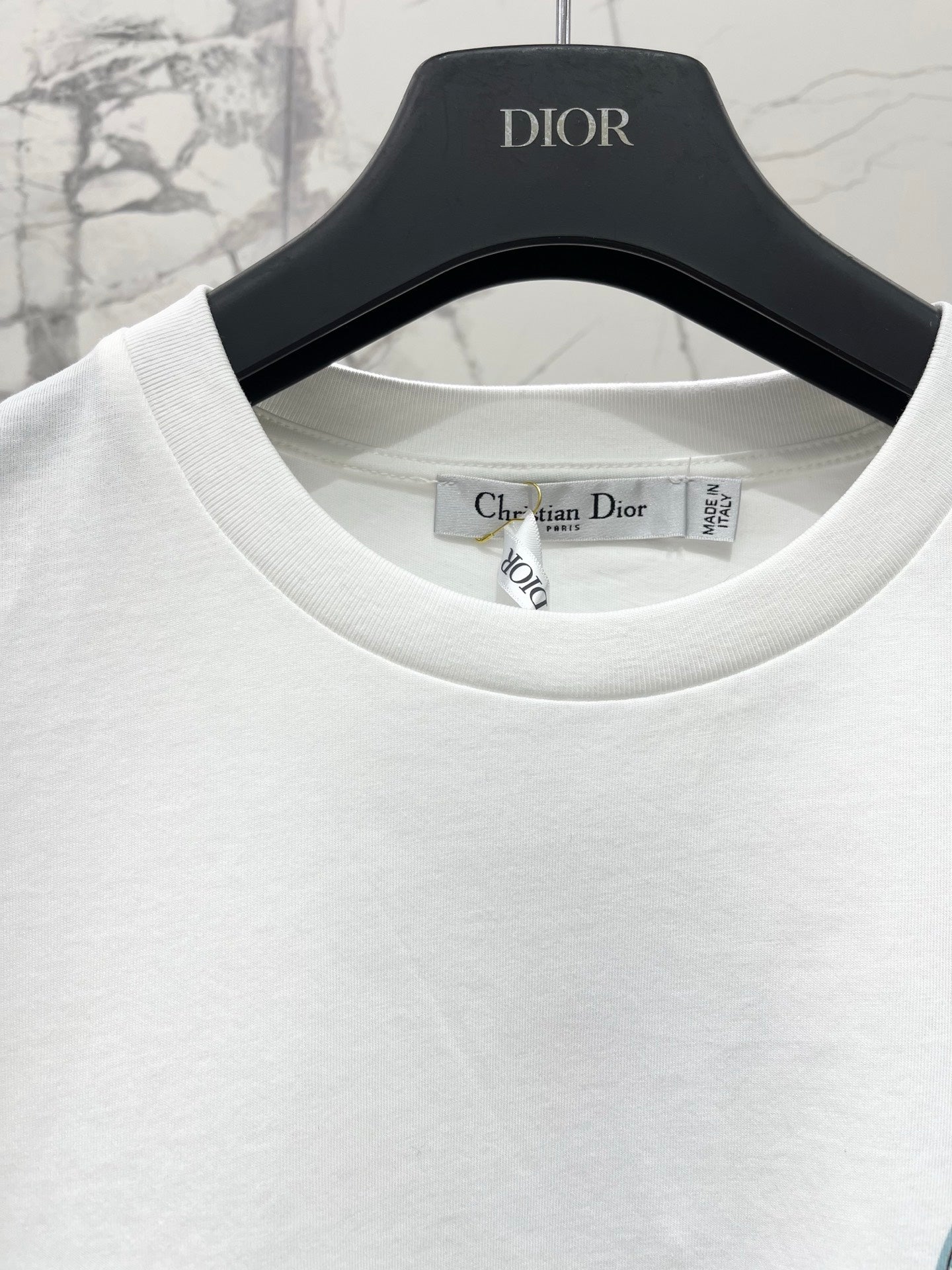 DIOR 26S SHORT-SLEEVE T-SHIRT 1010
