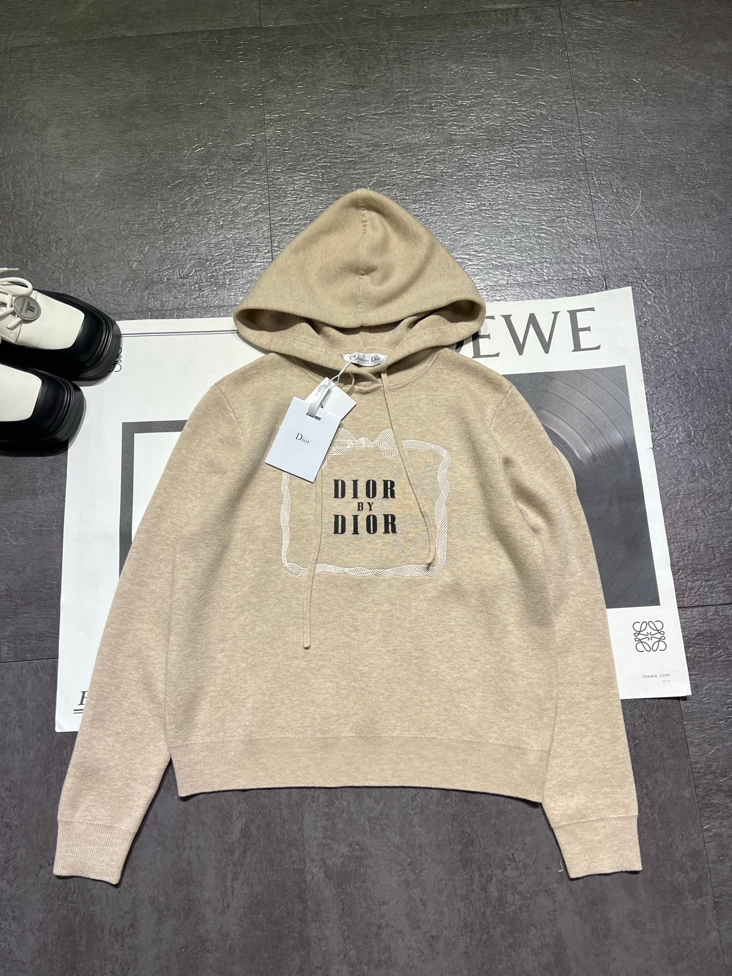 DIOR 26S HOODIE 1100