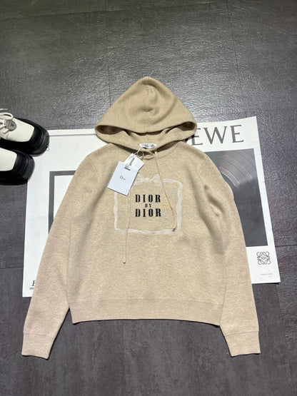 DIOR 26S HOODIE 1100